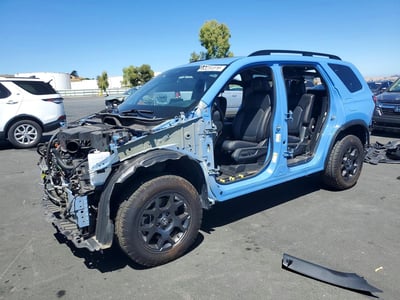 5FNYG1H62RB****** 2024 Honda Pilot