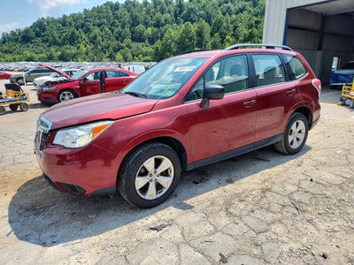 JF2SJABC6GH****** 2016 Subaru Forester