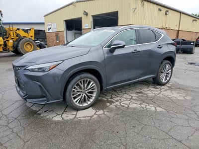 2T2GKCEZ2SC****** 2025 Lexus NX 350h