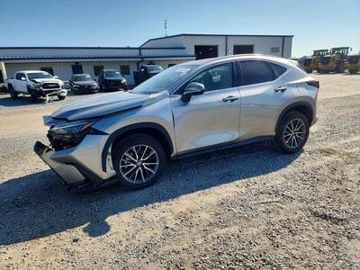 2025 Lexus NX