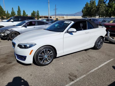 2019 BMW 2 Series