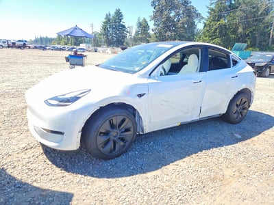 2025 Tesla Model Y