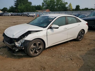 5NPLS4AG8PH****** 2023 Hyundai Elantra
