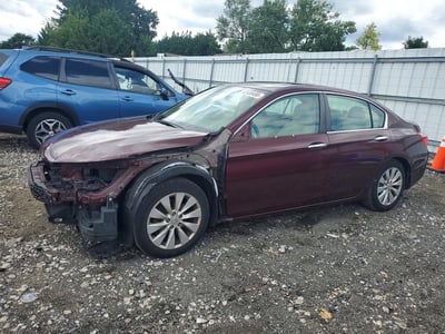 1HGCR2F73FA****** 2015 Honda Accord