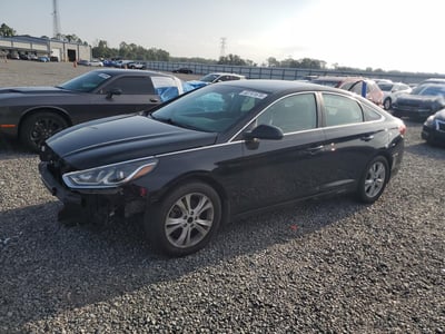 5NPE24AF8KH****** 2019 Hyundai Sonata