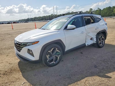 5NMJE3DE1RH****** 2024 Hyundai Tucson