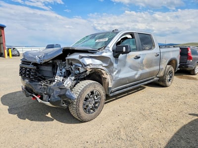 3GCUDHEL7PG****** 2023 Chevrolet Silverado 1500