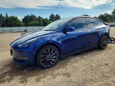 7SAYGDEF6PF****** 2023 Tesla Model Y