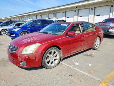 1N4BA41E67C****** 2007 Nissan Maxima