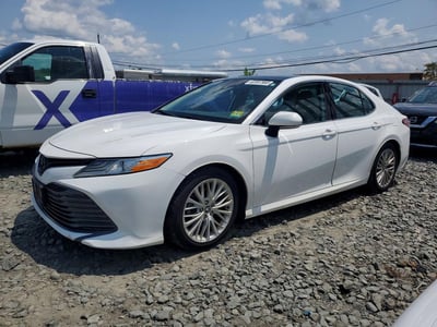4T1B11HKXKU****** 2019 Toyota Camry