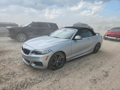 WBA2L3C32HV****** 2017 BMW 2 Series