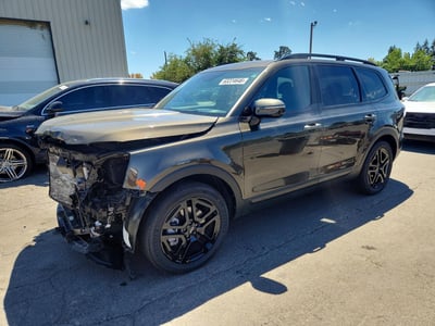 5XYP5DGC5RG****** 2024 Kia Telluride