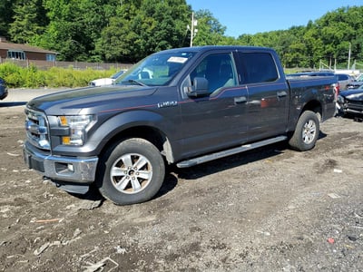 1FTEW1EF8FF****** 2015 Ford F-150