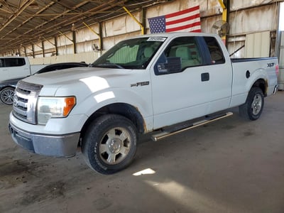 2010 Ford F-150