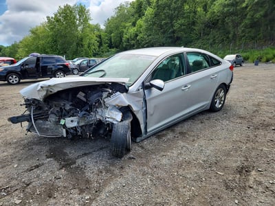 5NPE24AF7HH****** 2017 Hyundai Sonata