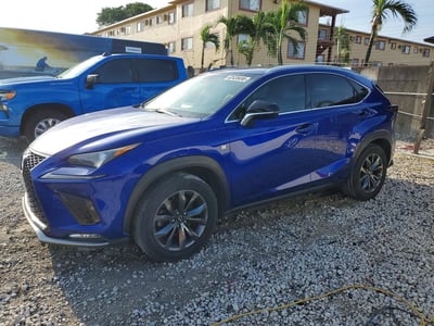 JTJYARBZ4J2****** 2018 Lexus NX