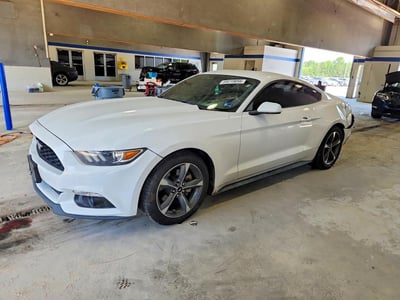 1FA6P8AM1F5****** 2015 Ford Mustang