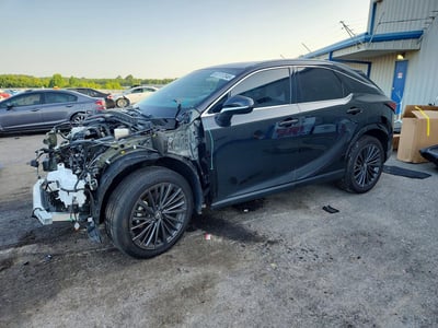 2025 Lexus RX