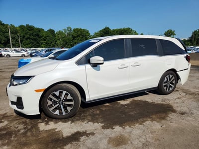 5FNRL6H65TB****** 2026 Honda Odyssey