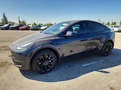 7SAYGDED6RF****** 2024 Tesla Model Y