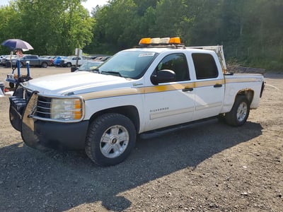 2010 Chevrolet Silverado 1500