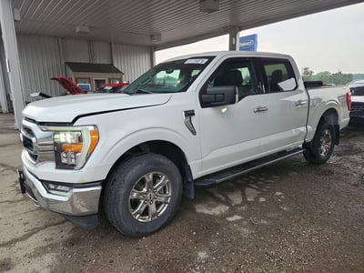 1FTFW1E53MF****** 2021 Ford F-150