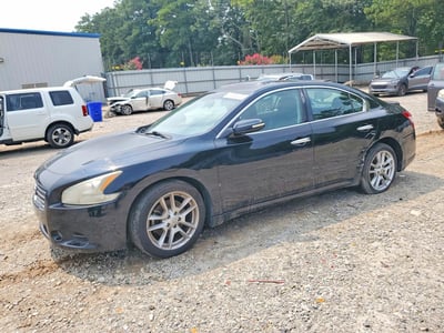 1N4AA51E19C****** 2009 Nissan Maxima