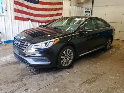 5NPE34AF1GH****** 2016 Hyundai Sonata