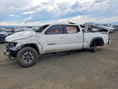 3TYDZ5BNXPT****** 2023 Toyota Tacoma