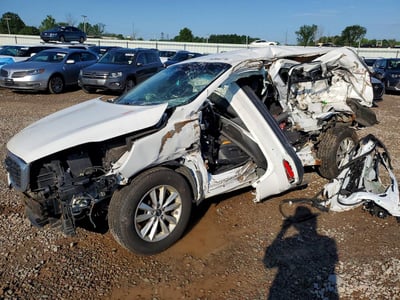 5XYPGDA34KG****** 2019 Kia Sorento