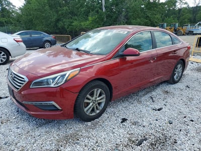 5NPE24AF6FH****** 2015 Hyundai Sonata