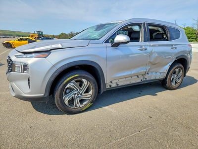 5NMS2DAJ3PH****** 2023 Hyundai Santa Fe