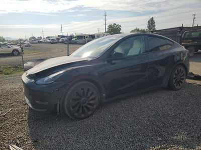 7SAYGDEFXPF****** 2023 Tesla Model Y