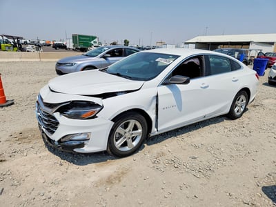 1G1ZC5STXRF****** 2024 Chevrolet Malibu