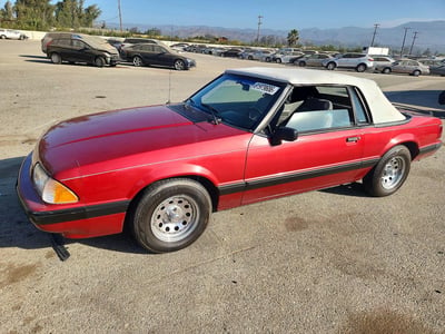1FACP44A8LF****** 1990 Ford Mustang
