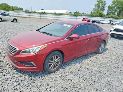 5NPE24AF5GH****** 2016 Hyundai Sonata