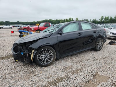 3KPF54AD4RE****** 2024 Kia Forte