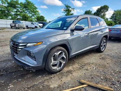 5NMJFCDE2RH****** 2024 Hyundai Tucson