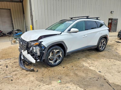 KM8JECD13RU****** 2024 Hyundai Tucson Hybrid