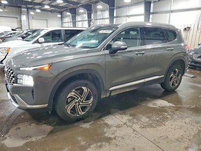 5NMS3DAJ2PH****** 2023 Hyundai Santa Fe