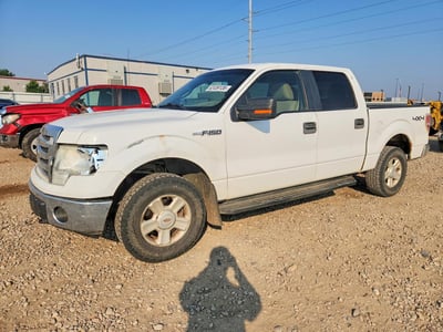 1FTFW1EV3AK****** 2010 Ford F-150