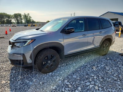 5FNYF6H81NB****** 2022 Honda Pilot