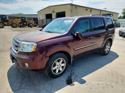 5FNYF48809B****** 2009 Honda Pilot