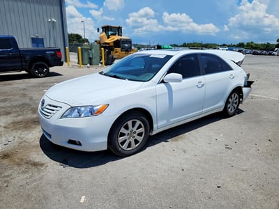 4T4BE46K49R****** 2009 Toyota Camry