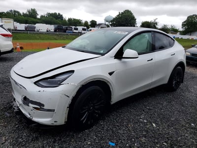 7SAYGDEE5PF****** 2023 Tesla Model Y