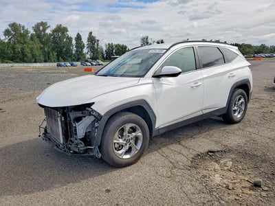 5NMJBCDE0RH****** 2024 Hyundai Tucson