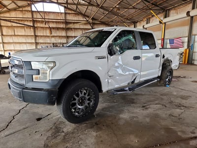 1FTEW1EG0FF****** 2015 Ford F-150
