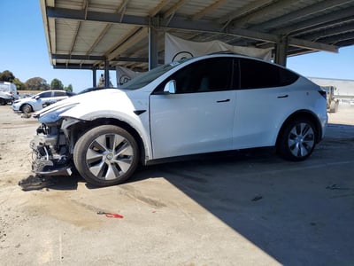7SAYGDEE7PF****** 2023 Tesla Model Y