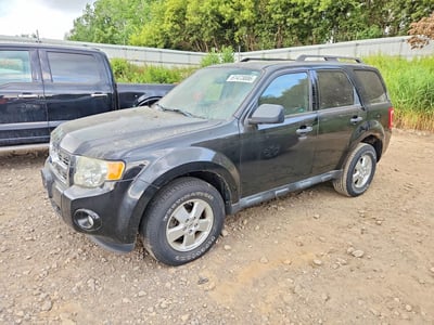 1FMCU0DG7BK****** 2011 Ford Escape