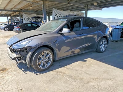 7SAYGDEEXPF****** 2023 Tesla Model Y